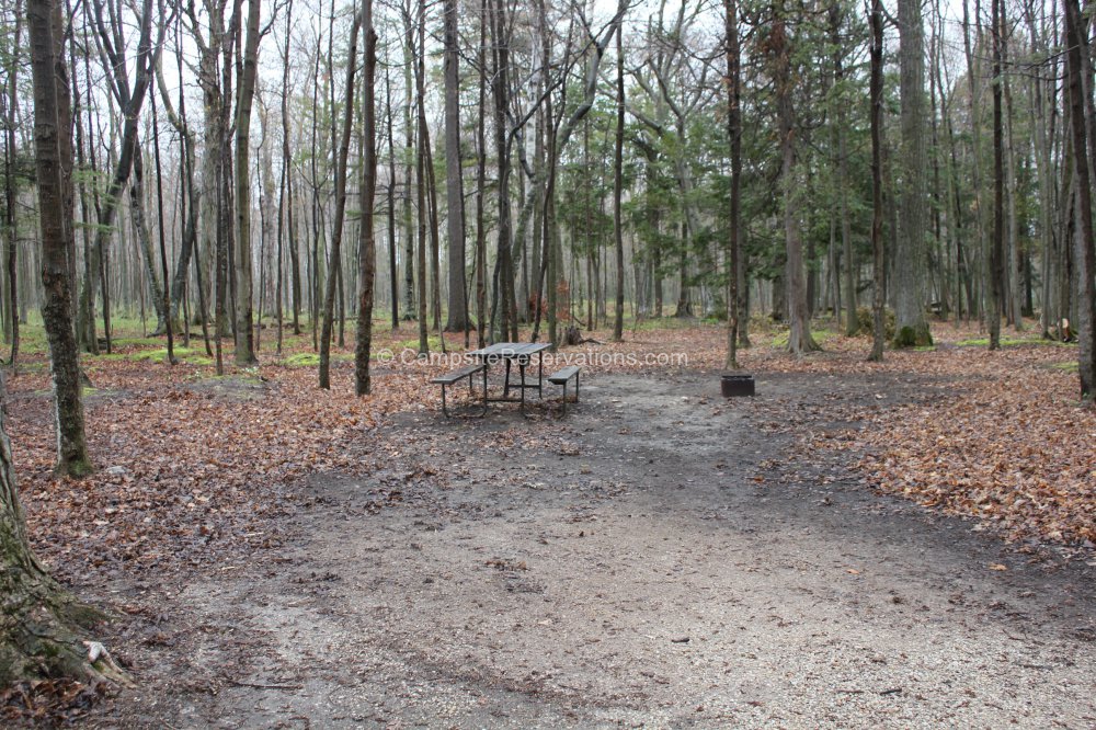 Photo of Campsite 203 in Tennison Bay Campground at Peninsula State